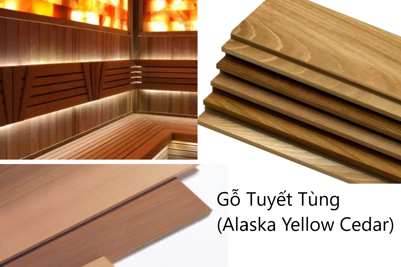 go tuyet tung